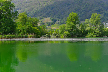 Lago verde nel bosco in un giorno di primavera