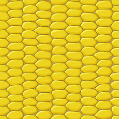 Corn texture © shadowsdance