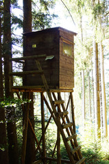 Jägerhütte im Wald