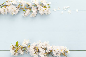 Floraler Hintergrund mit Kirschblüten 