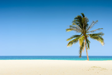 Naklejka na ściany i meble tropical beach with coconut tree