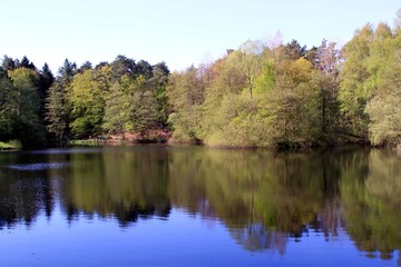 Fototapeta na wymiar Kleiner See im Frühling
