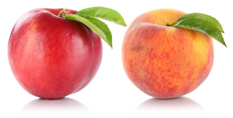 Pfirsich Nektarine Frucht Früchte Obst Freisteller freigestellt