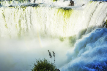 Iguazu Falls, on the border of Argentina and Brazil. 
