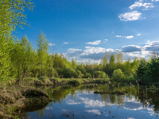 Fototapeta na wymiar Forest lake under blue cloudy sky