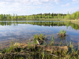 A log on the shore of the forest lake
