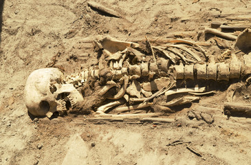 esqueleto humano encontrado en una escabacion arqueologica