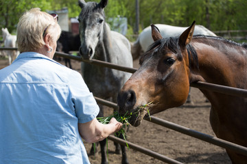 A woman feeding a horse