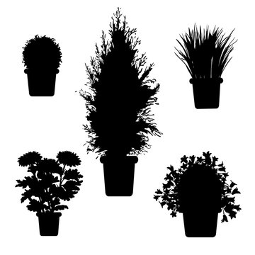 Vector set of silhouette plants and flowers in pot. Black and white illustration of plants