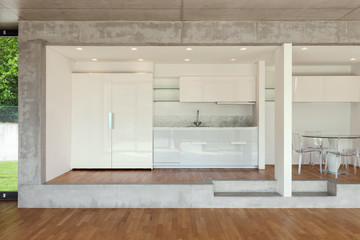 modern kitchen of concrete apartment