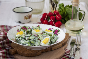 Salad radishes and cucumbers in sour cream sauce