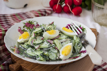 Salad radishes and cucumbers in sour cream sauce