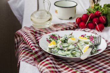 Salad radishes and cucumbers in sour cream sauce