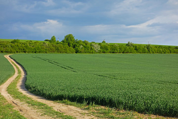 green field and macadam road next to a field and blue sky