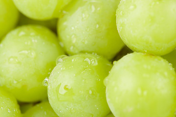 yummy green grapes