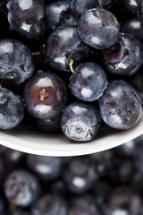 black currant background