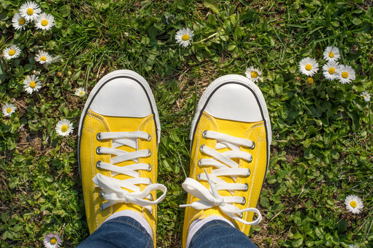 Yellow Sneakers In A Dasiy Field
