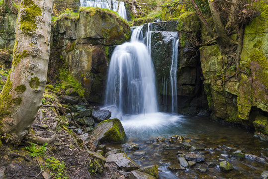 Fototapeta Waterfall in Lumsdale Valley in Matlock, Derbyshire, UK