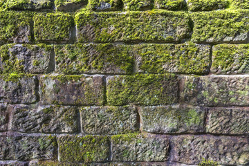 Old stone wall covered with green moss - background and texture