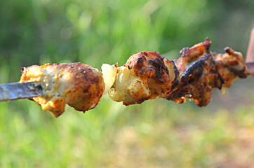 Close up of Shish kebab