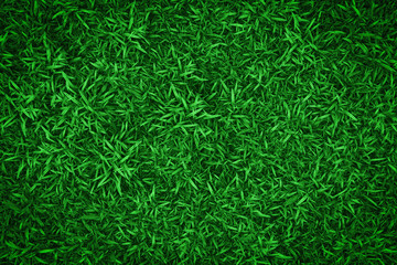 green grass texture background