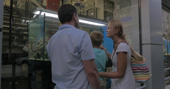 Steadicam shot of parents and child watching golden fish in aquarium exhibited in showcase of the street store