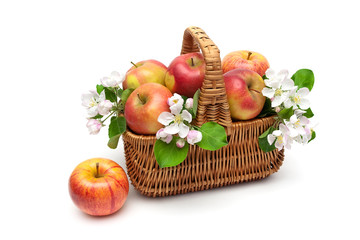 ripe apples in a wicker basket on a white background
