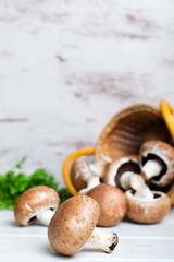 mushrooms in the basket. selective focus