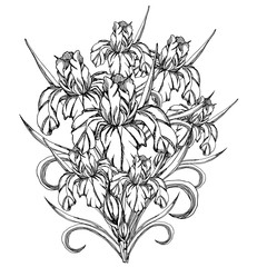 Vector decorative of iris flowers