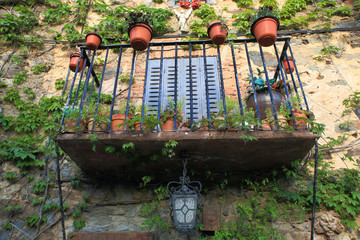 Balcony with plants