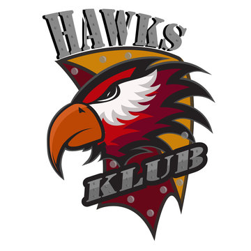 Professional sports logo hawks