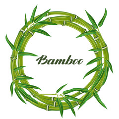 Frame with bamboo plants and leaves. Design for cards, flayers, brochures, advertising booklets