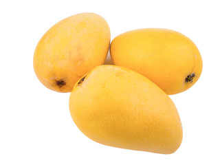 yellow ripe mango isolated on white