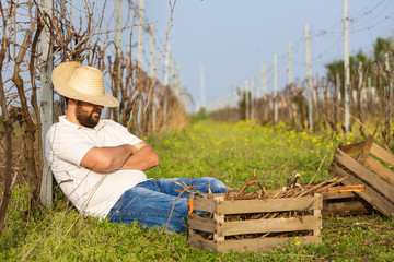 Worker taking a break in vineyard