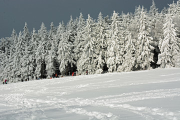 Herchhainer Höhe Vogelsberg 733m