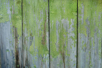 Fototapeta na wymiar Wooden shabby palisade background, green color, cracked paint