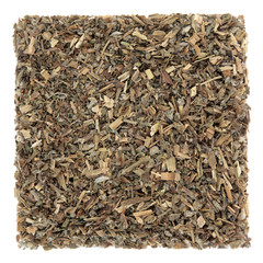 Fototapeta premium Borage Leaf Herb