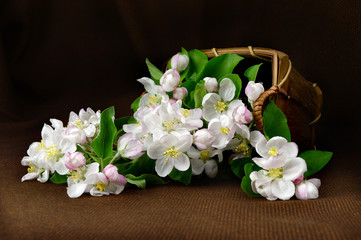  still life with a basket of flowers apple.