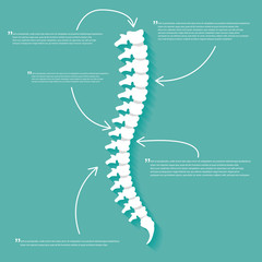 Obraz premium Flat spine icon for orthopedic therapy, diagnostic center.