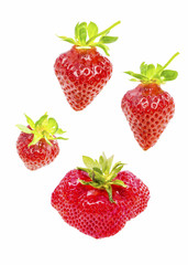 strawberry on white background
