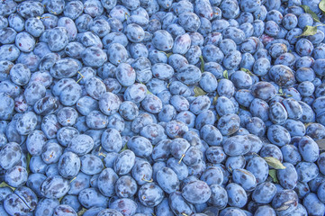 farmers market on streets on istanbul