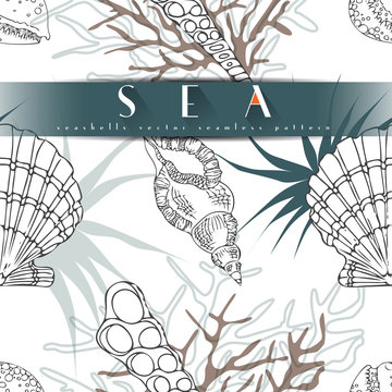 Seashells vector seamless pattern with algae, corals in different forms white background. Sea life, underwater isolated hand drawn concept illustration.