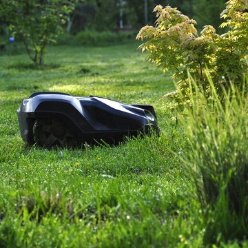 Robot tondeuse peluse 
