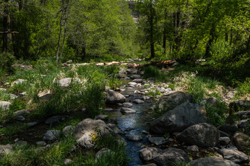 Wind, Water, Red Earth and Sedona