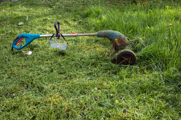 Trimmer on the lawn.