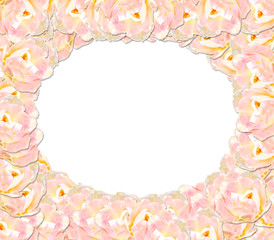 frame from pink tender tulips