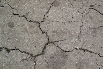Asphalt texture with cracks