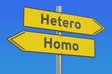 Hetero vs Homo concept, 3D rendering