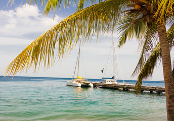The catamarans moored in caribbean harbor.