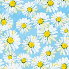 Fototapeta na wymiar Daisies on the light blue background. Watercolor seamless pattern.